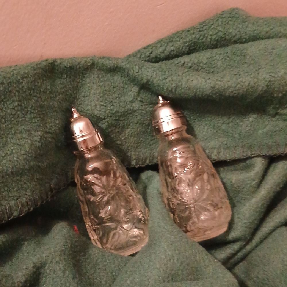 Elegant Silver and Clear Glass Shakers